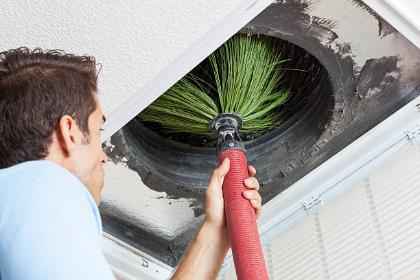 Air Duct Mold Removal in NJ